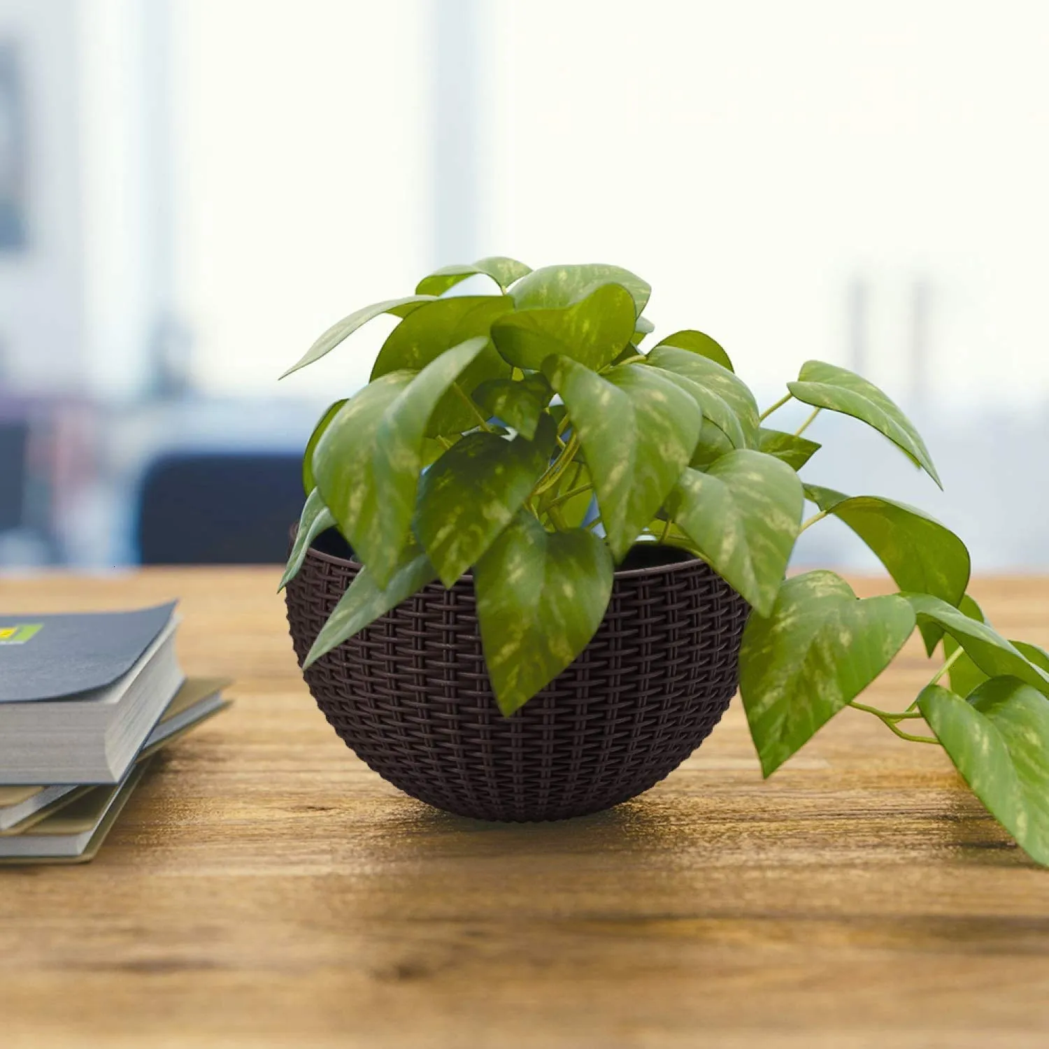 21 cm Violet Rattan Hanging Planter with Chain