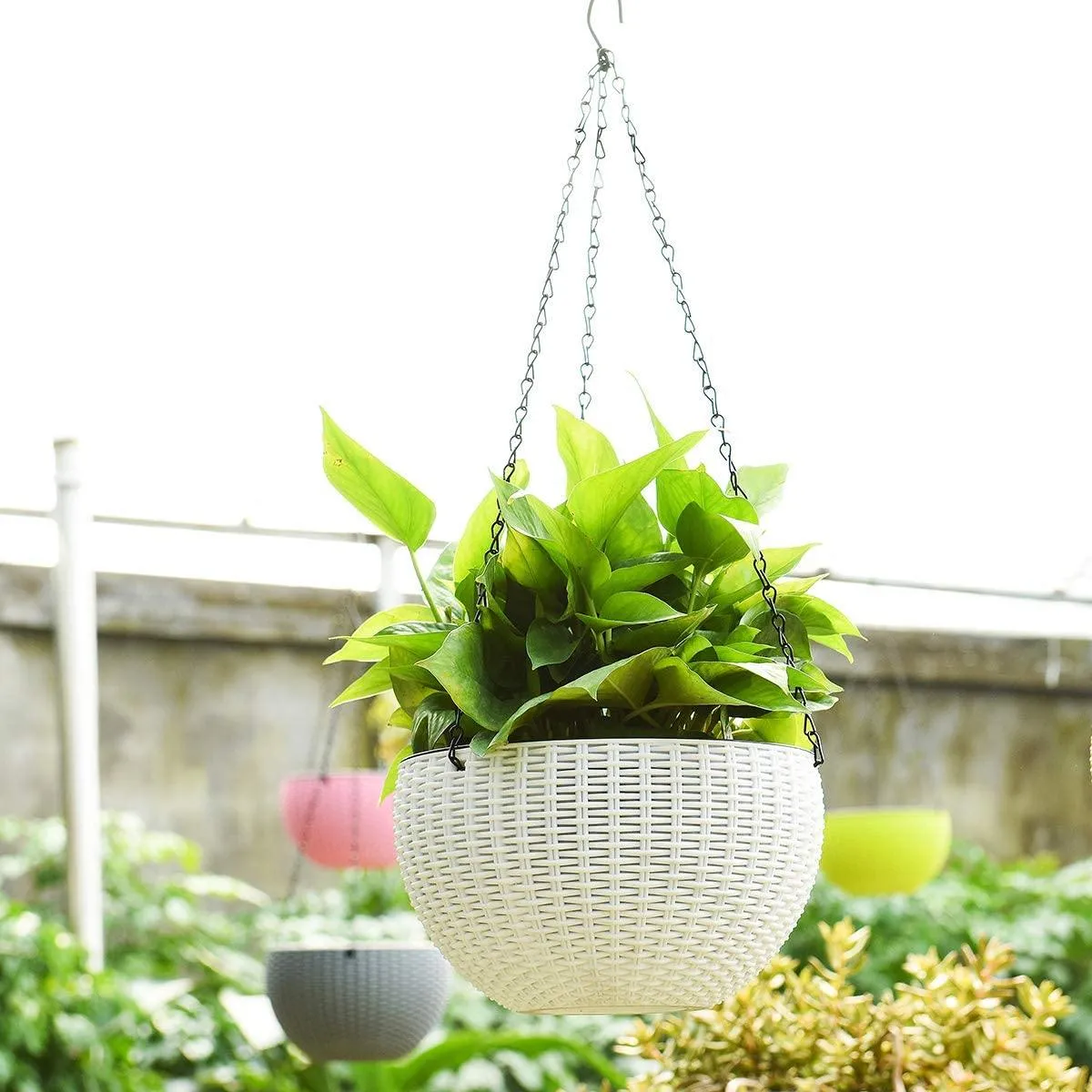 21 cm White Rattan Hanging Planter with Chain