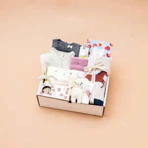 Baby Box BIG, Boy