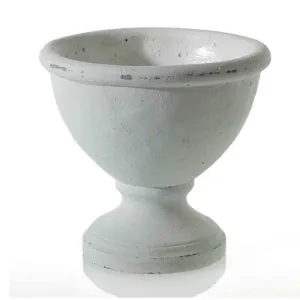 Benoit Compote (Small)