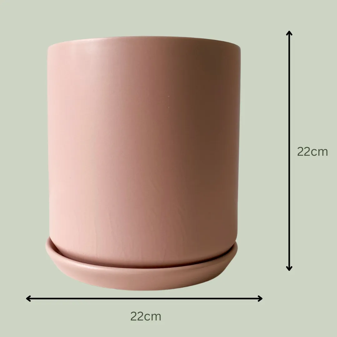 Ceramic Pot | Dusty Pink | 22cm