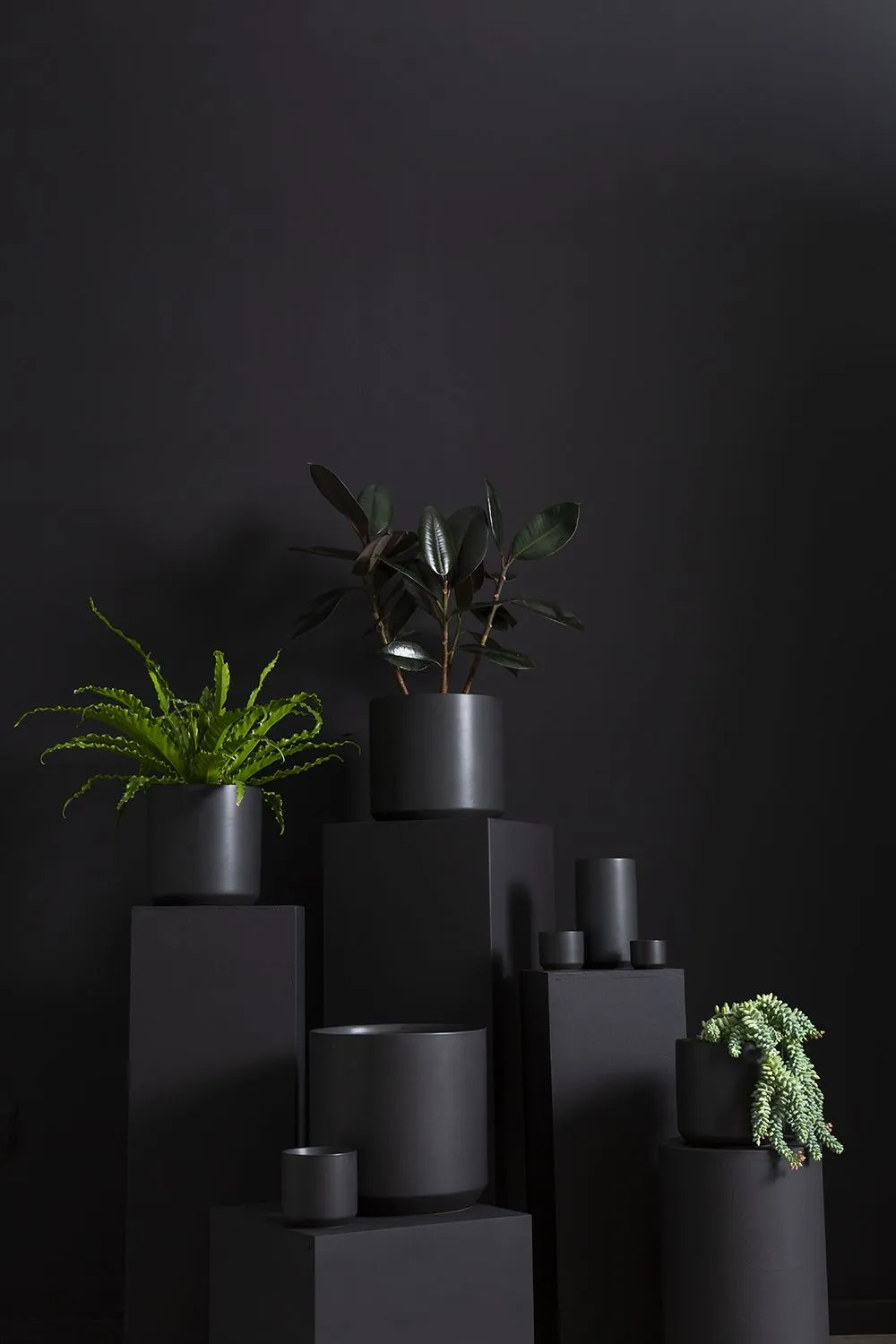Kendall Pot | Black (Small)
