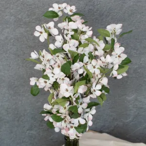 Pink & White Pear Blossom Stem