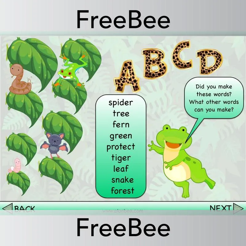 Rainforest Brain Teasers